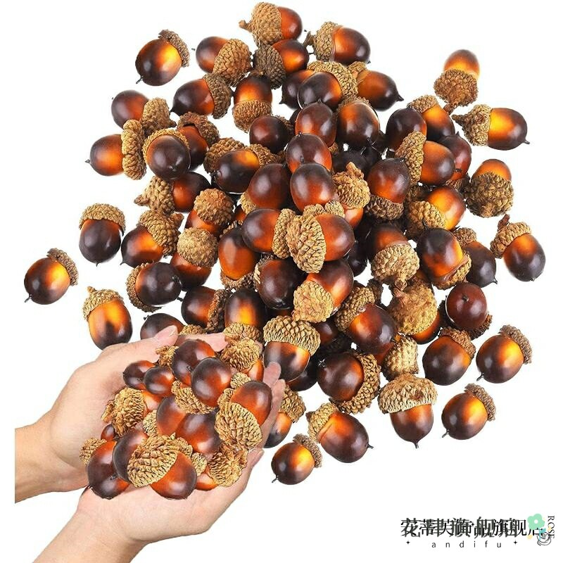 幼儿园教学松果树枝拍照装饰品壳果手工模型道具仿真橡果菡艺榛子