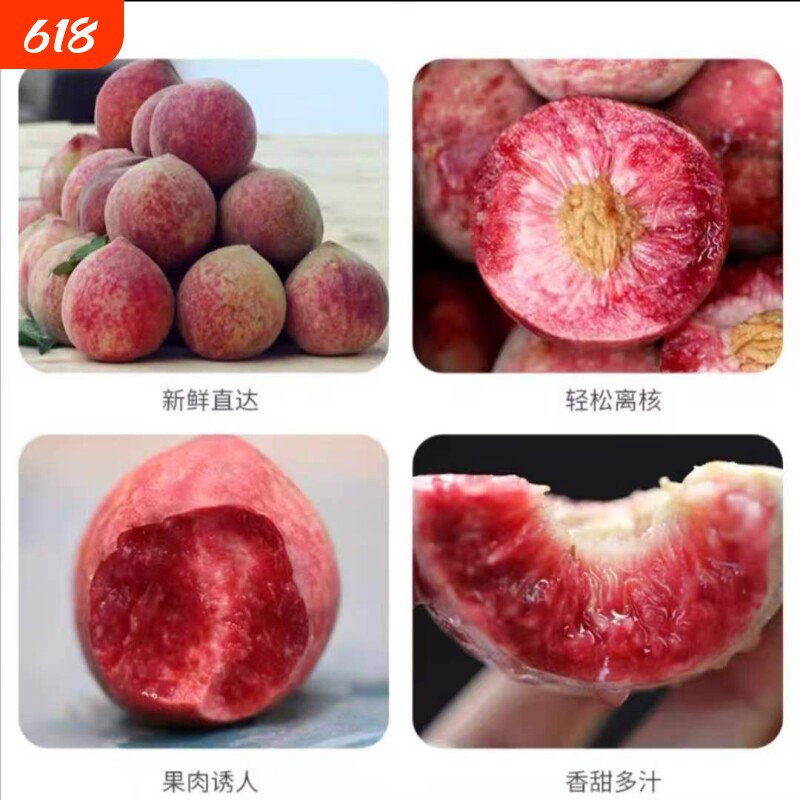 血桃现摘山地露天种植湖北荆州本地6月熟当季水果自然熟甜度适中