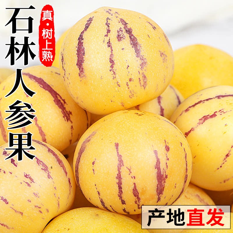 人参果新鲜水果现货云南石林树上熟黄心圆果人生果9斤整箱现摘图片