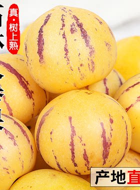 人参果新鲜水果现货云南石林树上熟黄心圆果人生果9斤整箱老年人