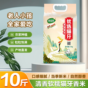 优选大米猫牙米2025年新米优质长粒香大米南方农家大米10斤装大米