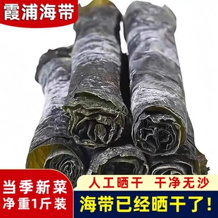 海带正宗福建无沙海带肉厚特级干货精选整条海带昆布批发商用