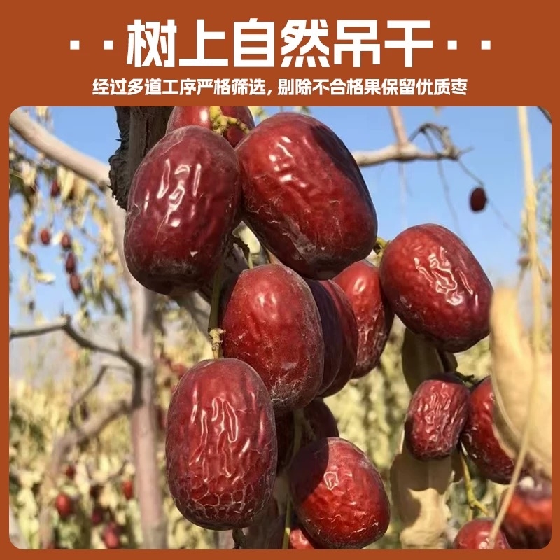 2025新枣新疆若羌灰枣自然晾干免洗红枣休闲零食代发大枣小枣红枣