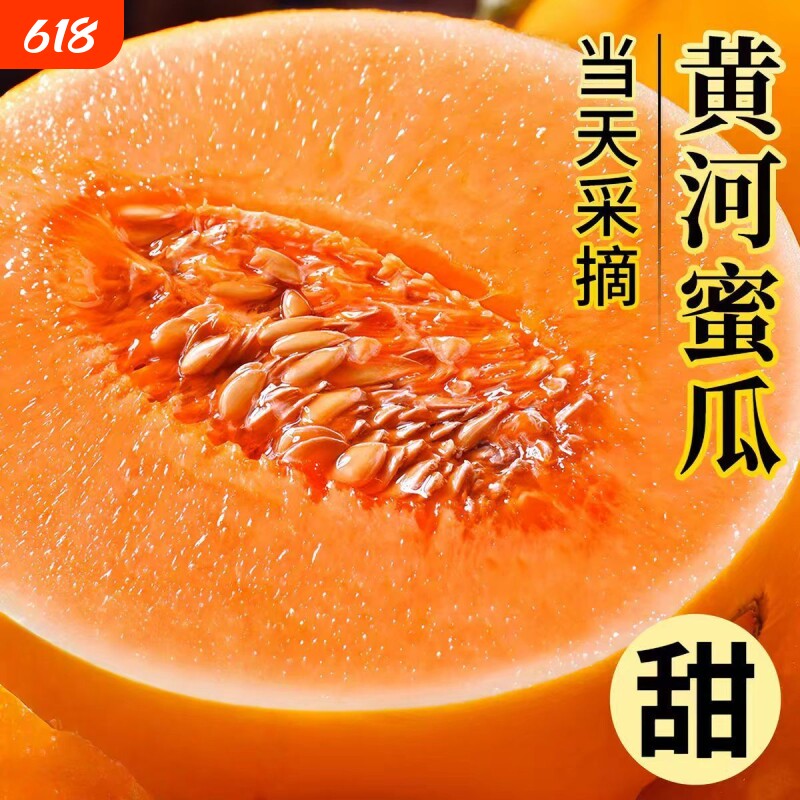 正宗黄河蜜瓜甜瓜新鲜水果应当季整箱包邮黄金脆香瓜哈密甘肃民勤