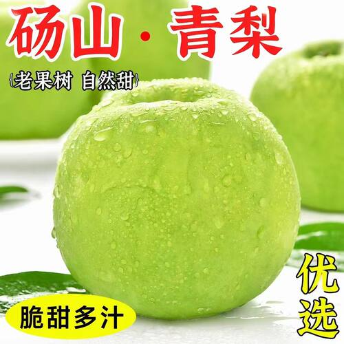 2026年砀山青皇冠梨应季青梨翠玉翠冠特大甜脆精选甜原产地单果