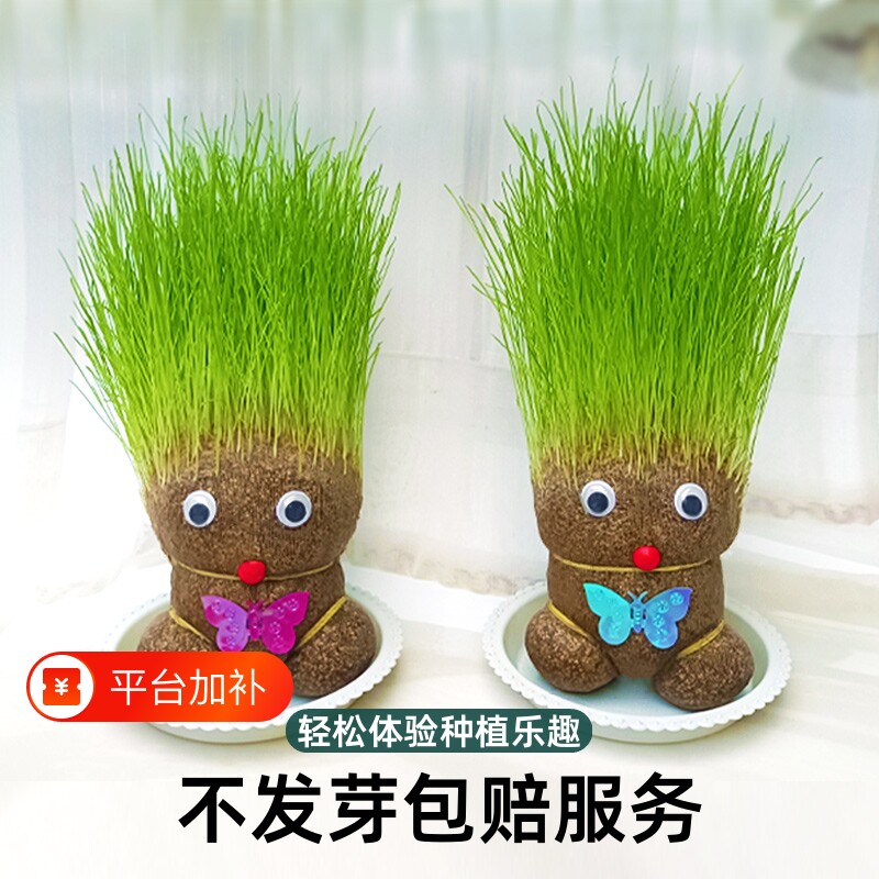 创意长草娃娃小盆栽简单好养