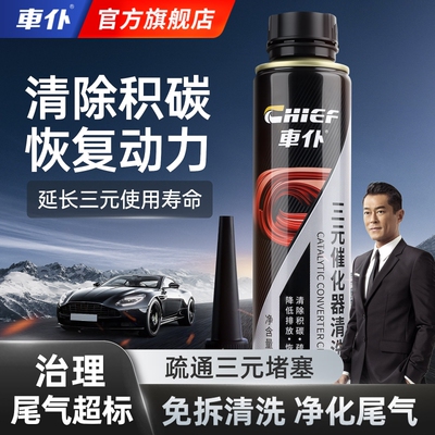 车仆铂金三元催化清洗剂