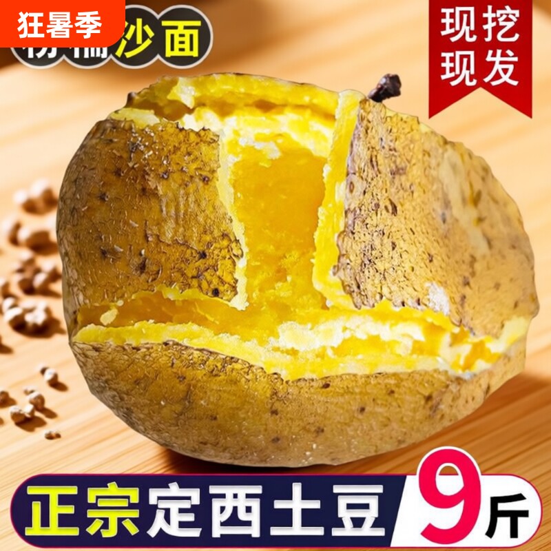 甘肃定西土豆洋芋新鲜现挖甘肃土豆马铃薯农家种净重5斤9斤高淀粉 - 实物图