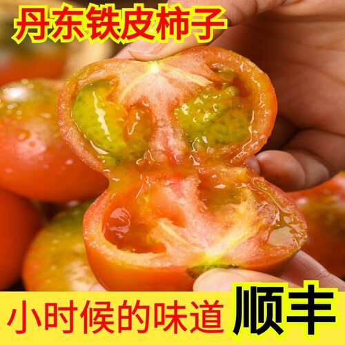 正宗丹东铁皮西红柿水果柿子碱地草莓自然吃水果新鲜番茄清甜