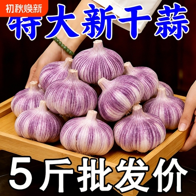【今年新蒜】山东金乡紫皮新干蒜