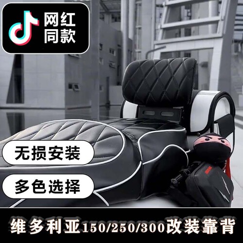 适用龙嘉维多利亚300i/150si/250后靠背靠腰蒙娜丽莎原车无损改装