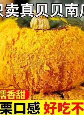山东新鲜贝贝南瓜宝宝辅食包邮现摘粉糯香甜蔬菜板栗味粗粮黄金
