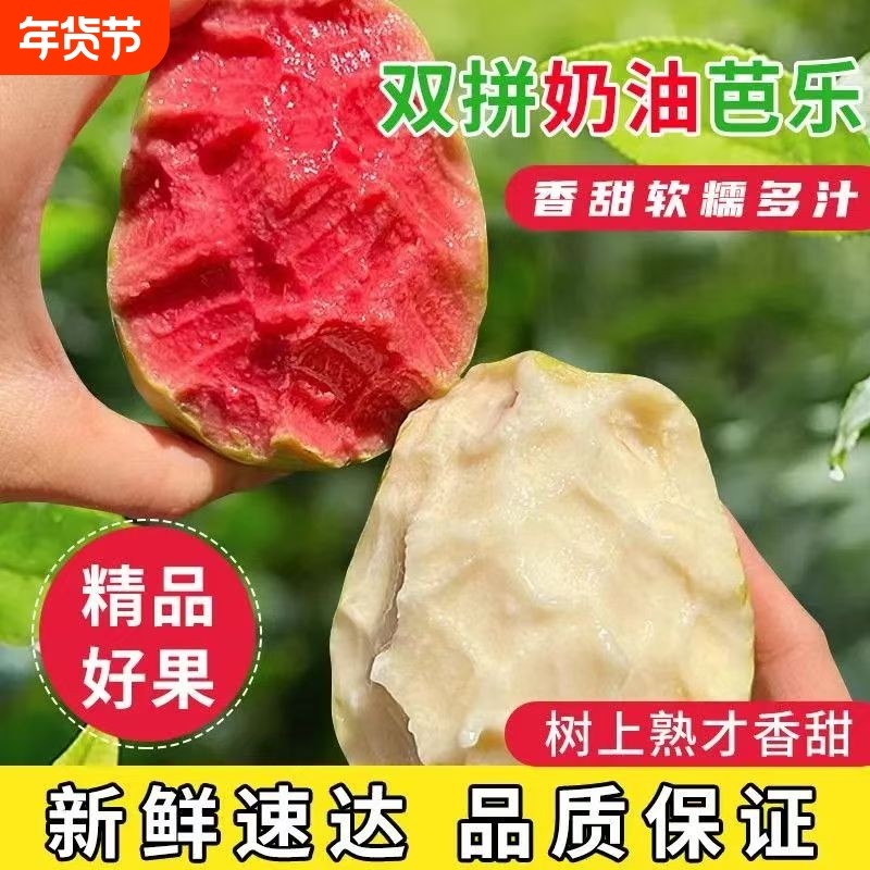 红白双拼软红心白芭乐奶油番石榴白心脆甜批发新鲜树上熟,水产肉类/新鲜蔬果/熟食,番石榴/芭乐,淘宝优惠券,粉丝福利购,淘宝优惠卷