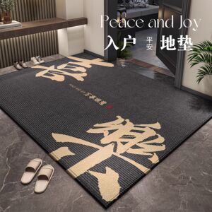 入户门地垫2024新款进门门口脚垫高端防滑耐脏玄关垫地毯门外门垫