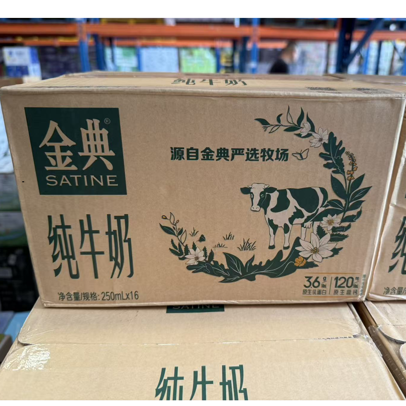 伊利金典纯牛奶250ml*16盒营养早餐奶新老包装随机发货