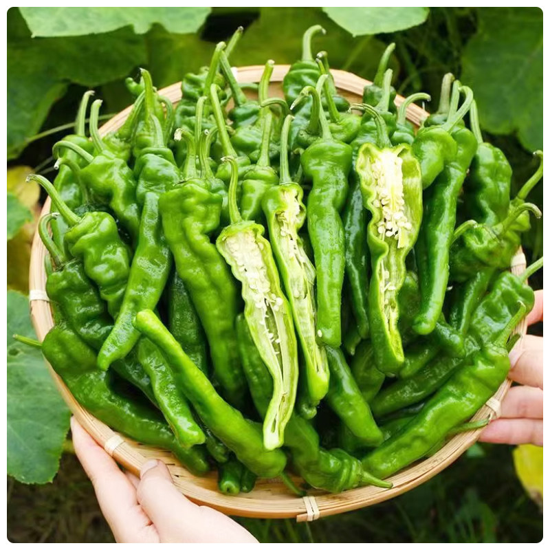 ��Ƥ����С��Ƥ��������������ƤС��Ƥ���� 1��    19.98Ԫ