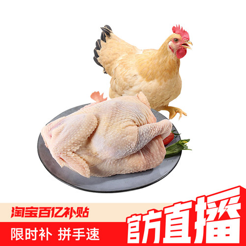 天农清远童子鸡农家谷物散养90天