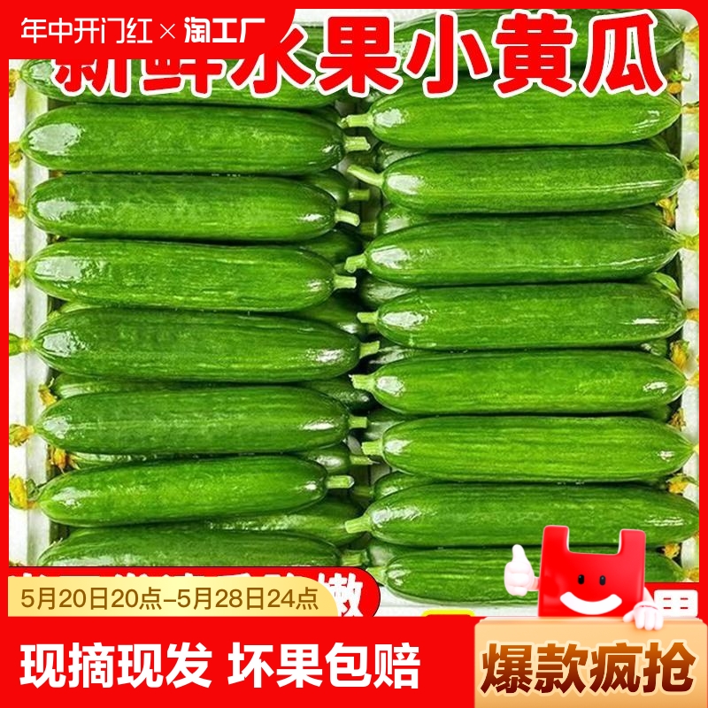 水果黄瓜生吃蔬菜脆新鲜5斤青瓜荷兰当季无刺小黄瓜现摘包邮配送 水产肉类/新鲜蔬果/熟食 黄瓜 原图主图