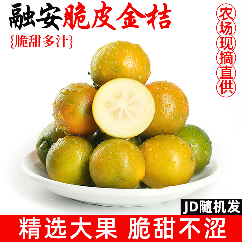 广西脆皮金桔新鲜水果桔子当季现摘甜蜜小金柑桔金橘融安京东包邮