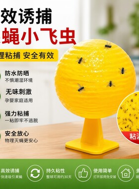 厨房水果店果蝇诱捕器物理灭虫