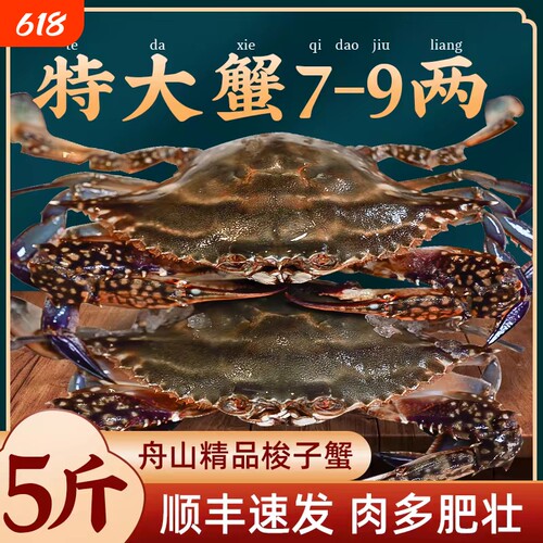 正宗舟山新鲜梭子蟹冷冻顺丰包邮