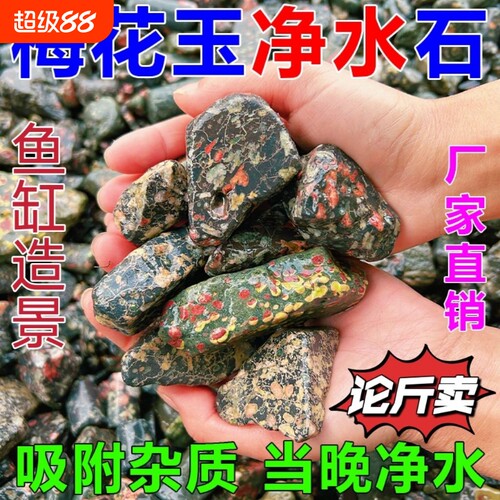 天然安山玉鱼缸石梅花玉溪流石生态造景净水石懒人养鱼石过滤除藻