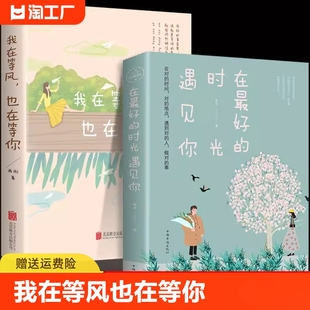 在最好的时光遇见你+我在等风也在等你全2册 青春校园恋爱正能量文学言情小说一本洗涤心灵遇见爱情的书女性励志书籍