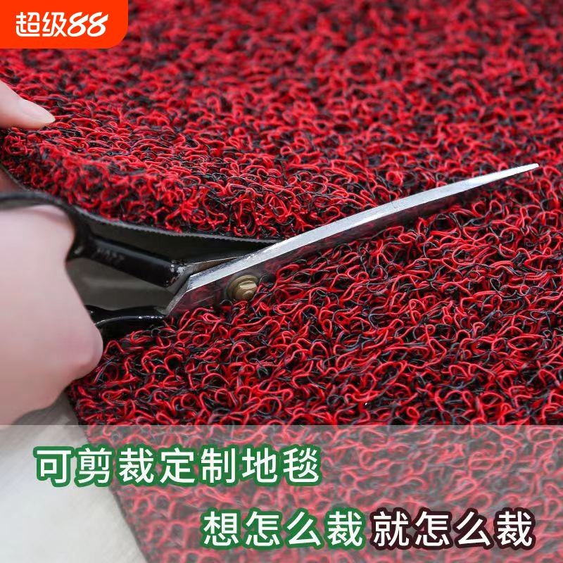 凝华塑料丝圈入户门防滑防水地垫
