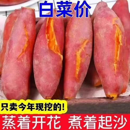 新鲜蜜薯9斤板栗红薯沙地糖心地瓜农家自种番薯现挖黄心香薯山芋