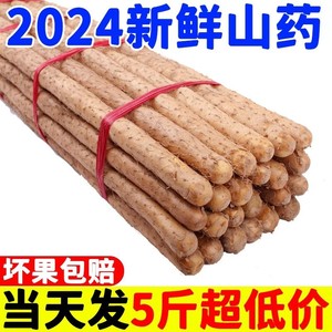 【2024新货】正宗垆土铁棍山药