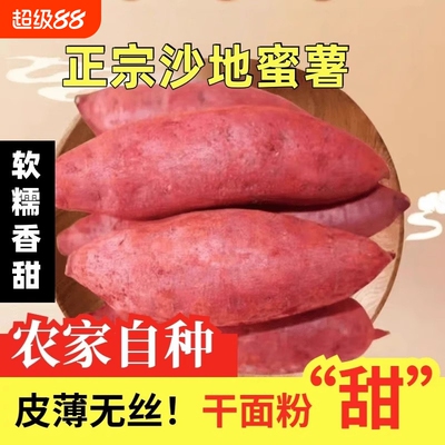 新鲜沙地蜜薯红薯地瓜板栗糖心番薯山芋农家自种现挖龙九黄心软糯