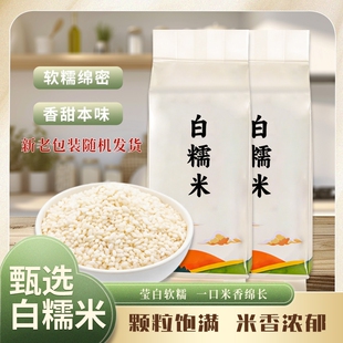 云南白糯米包粽子煮饭新鲜米白糖米江米粽子米糯黏米五谷杂粮农家