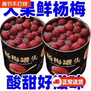 正宗新鲜杨梅罐头水果烘焙新日期水果罐头一整箱商用即食罐装杨梅