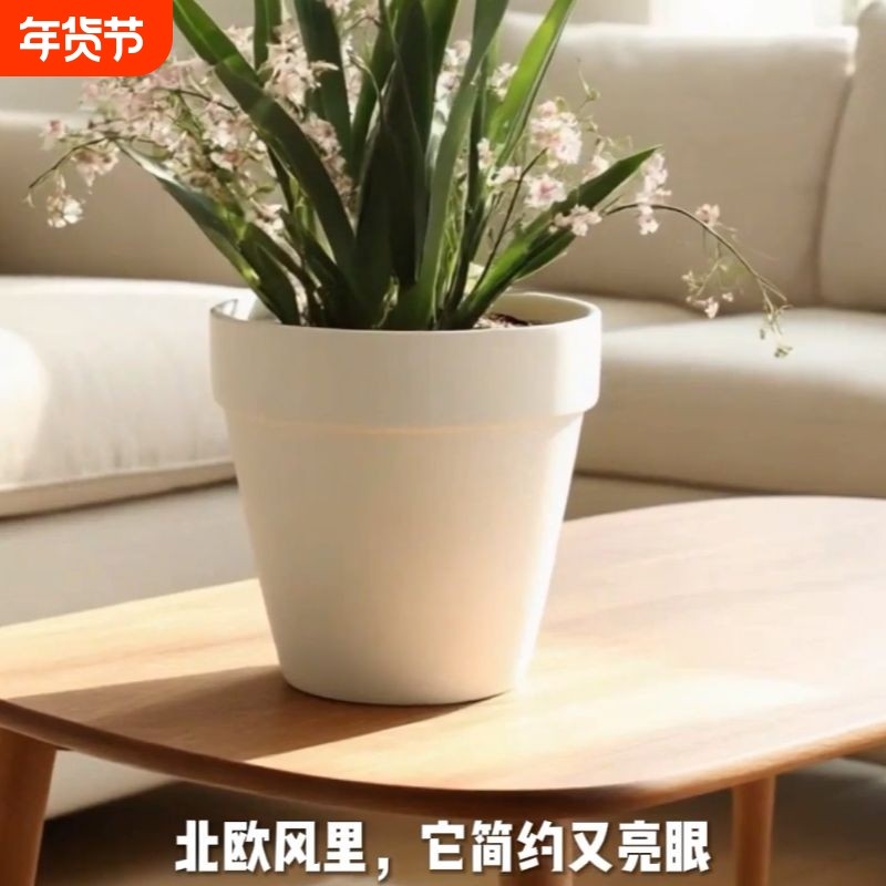 花盆陶瓷家用冬青多肉蝴蝶兰专用绿植兰花透气陶土盆特价新款桌面