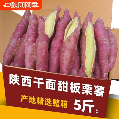 板栗红薯9斤新鲜沙地蜜薯板栗地瓜香薯山芋农家自种现挖红皮黄心