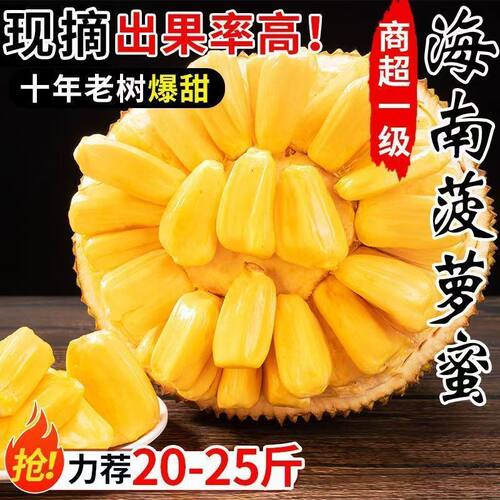 海南三亚黄肉菠萝蜜新鲜水果生鲜一整个特产干葆包邮当季热带现摘