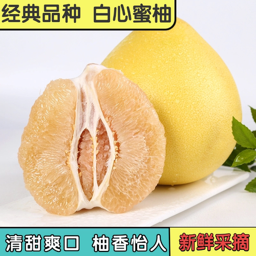 新鲜蜜柚白柚子当季时令水果清甜多汁海南正宗传统白肉热带送礼