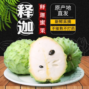 云南凤梨释迦果新鲜水果番荔枝佛头果现摘现发释迦摩尼果整箱批发