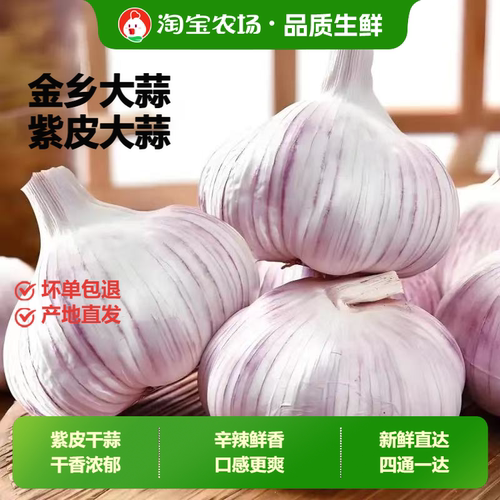 今年新干蒜5斤大蒜头超大果农家大蒜当季新鲜蔬菜200g起整箱包邮
