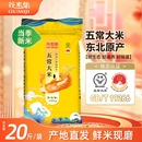 正宗东北五常大米10kg一年一季 新米糯粥米 东北大米黑龙江大米当季