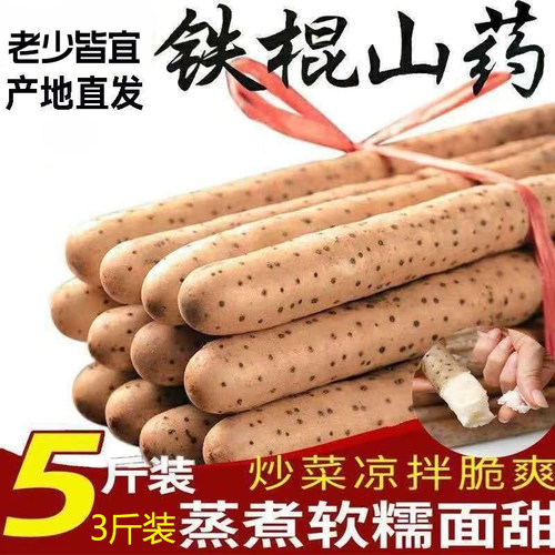 河北新鲜粉糯山药小白嘴铁杆产地直发非温县垆土铁棍