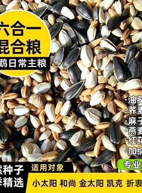 混合小太阳专用鸟粮混合粮大颗粒