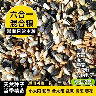 小太阳鸟粮专用和尚鸟饲料营养鸟食种子粮混合粮粮食八哥荞麦燕麦