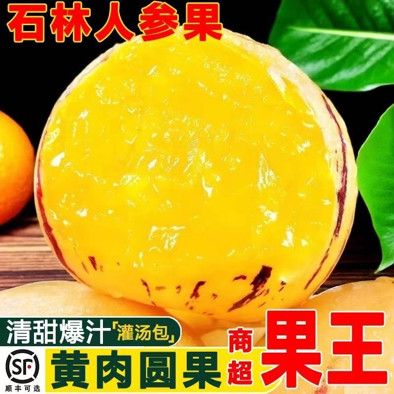 云南石林人参果新鲜应季水果树上熟七彩黄肉圆果人生果娃娃果现摘