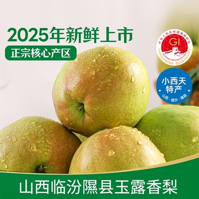 顺丰冠町隰县玉露香梨子礼盒装山西小西天特产黑神话新鲜水果送礼