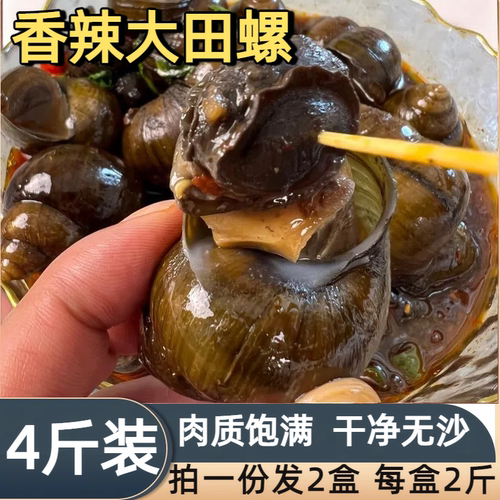 麻辣大田螺香辣夜宵下酒小零食加热田螺开袋即食鲜活新鲜冷冻美味