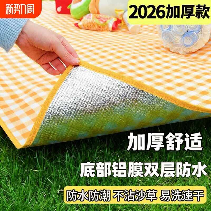 野餐垫防潮垫加厚户外野炊野营沙滩帐篷地垫春游坐垫防水草坪垫子