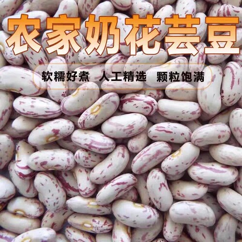 云南雀蛋豆子奶花芸豆熊猫豆圆粒