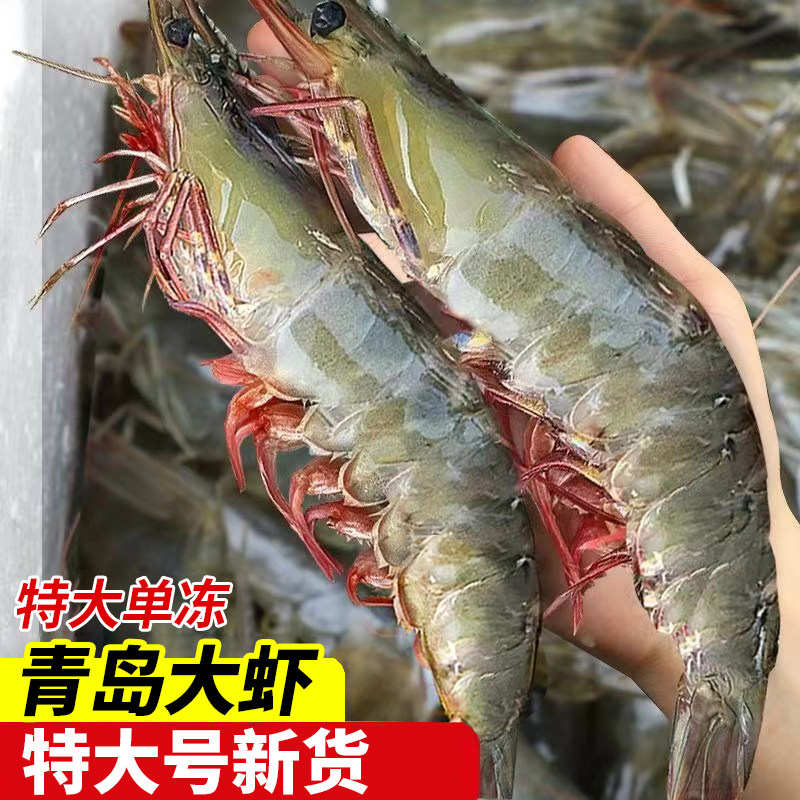 青岛大虾20-30规格特大号白虾鲜活速冻对虾新鲜基围虾冷冻非青虾