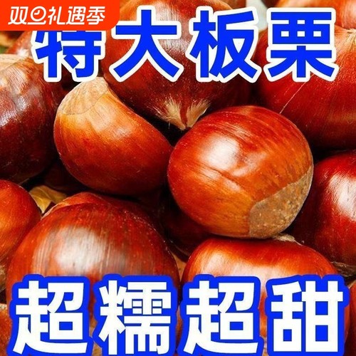 2022正宗丹东板栗生新鲜粟子油栗